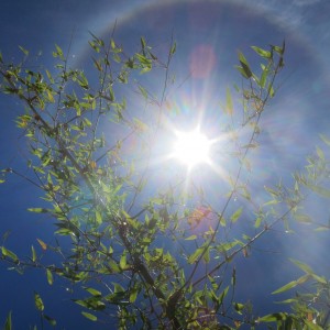 Sun Halo in Namibia