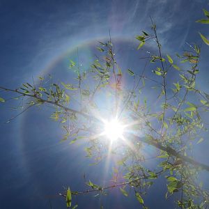 Sun Halo in Namibia