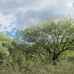 Namibia