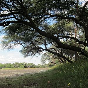 Namibia