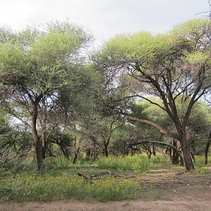 Namibia