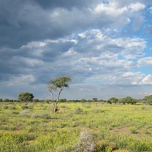 Namibia