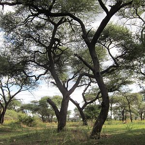 Namibia