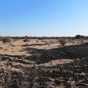 Controlled Bush Fire Namibia