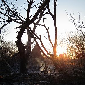 Controlled Bush Fire Namibia