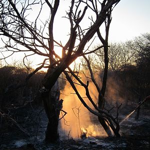 Controlled Bush Fire Namibia