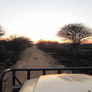 Controlled Bush Fire Namibia