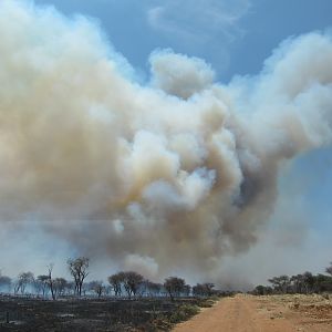 Controlled Bush Fire Namibia