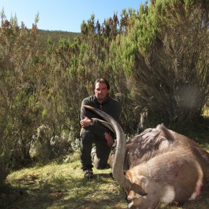 Mountain Nyala January 2011 Etiophia