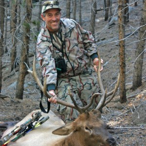 Rocky Mtn. Elk