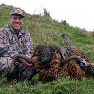 New Zealand Arawapa Ram-#4 SCI