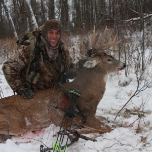 Alberta White-tailed deer