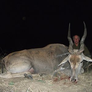 Hunting Cape Eland in Namibia