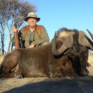 Hunting Black Wildebeest in Namibia