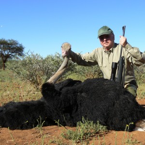 Hunting Ostrich in Namibia