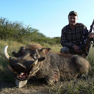 Hunting Warthog in Namibia