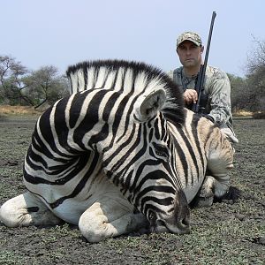 Hunting Burchell's Plain Zebra in Namibia