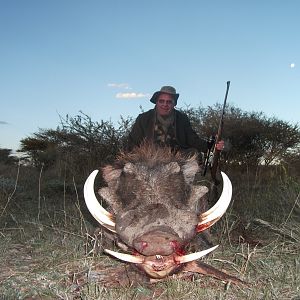 Hunting Warthog in Namibia