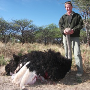 Hunting Ostrich in Namibia