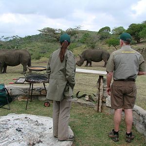 Rhino Kwa Zulu Natal