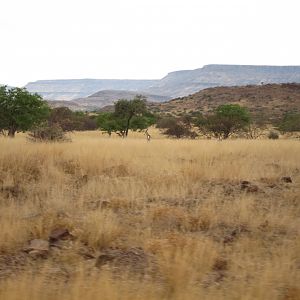 Damaraland Namibia