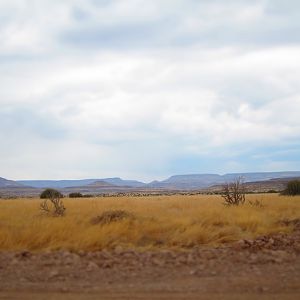 Damaraland Namibia