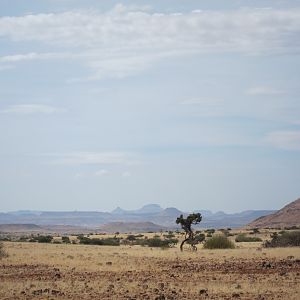 Damaraland Namibia