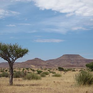 Damaraland Namibia