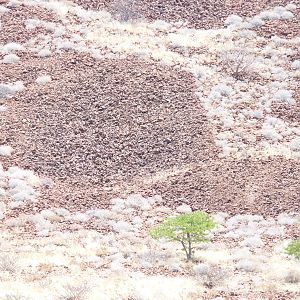 Damaraland Namibia