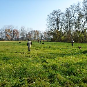 Hunting in France