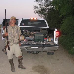 Tx Dove Hunt