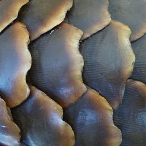 Giant Pangolin Scales Namibia