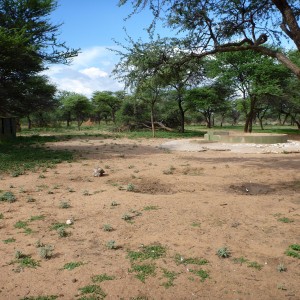 Bow Blind Namibia