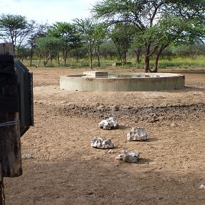 Trail Camera Namibia