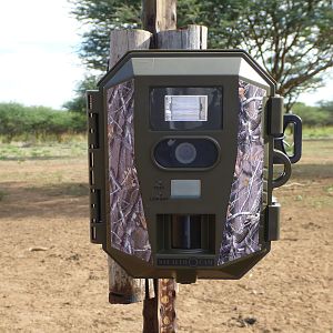 Trail Camera Namibia