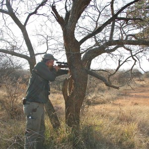 Shooting Sticks