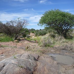 Riverbed Namibia