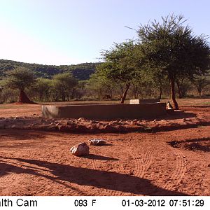 Trail Camera Namibia