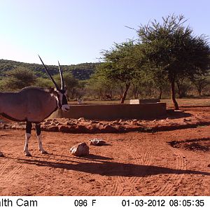 Trail Camera Namibia