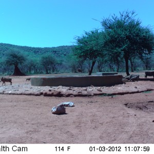 Trail Camera Namibia