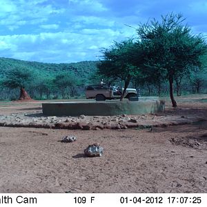 Trail Camera Namibia