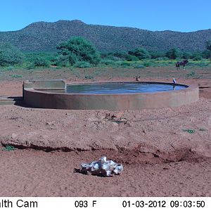 Trail Camera Namibia