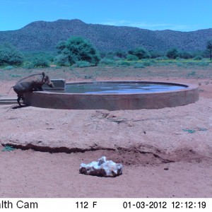 Trail Camera Namibia