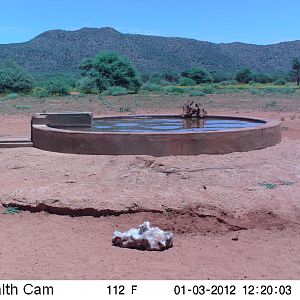 Trail Camera Namibia