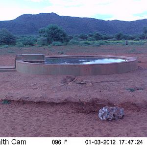 Trail Camera Namibia