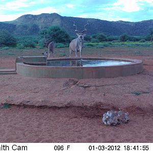 Trail Camera Namibia