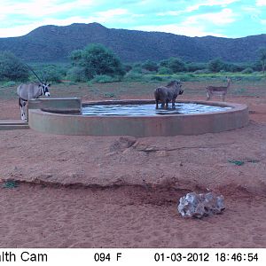 Trail Camera Namibia