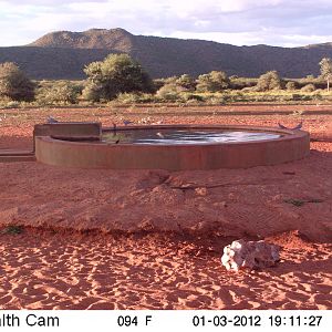 Trail Camera Namibia