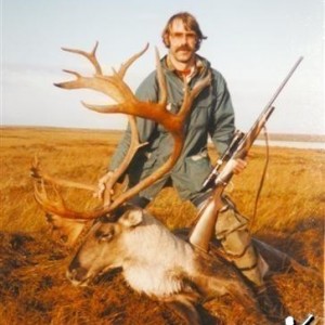 Alaskan Barren Ground Caribou