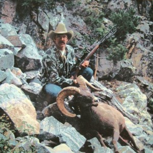 Bighorn Ram